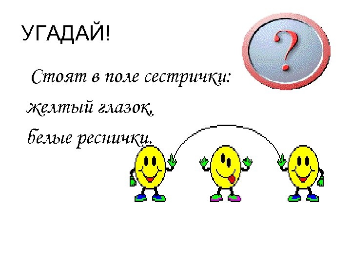 УГАДАЙ! Стоят в поле сестрички: желтый глазок, белые реснички. 