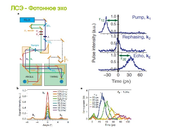 ЛСЭ – Фотонное эхо Time (ps) 