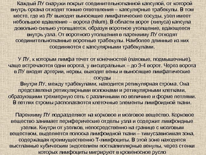 Каждый ЛУ снаружи покрыт соединительнотканной капсулой, от которой внутрь органа отходят тонкие ответвления –