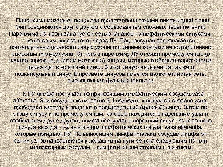 Паренхима мозгового вещества представлена тяжами лимфоидной ткани. Они соединяются друг с другом с образованием