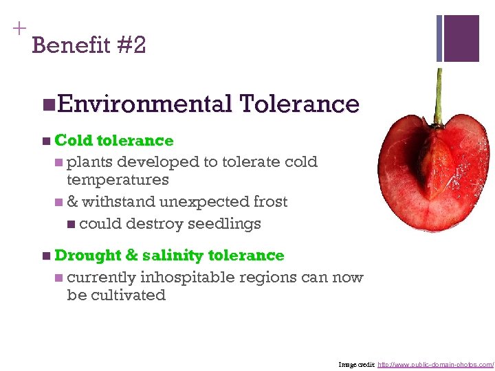 + Benefit #2 n. Environmental Tolerance n Cold tolerance n plants developed to tolerate
