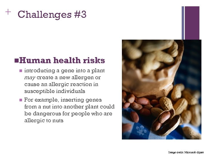 + Challenges #3 n. Human health risks n n introducing a gene into a