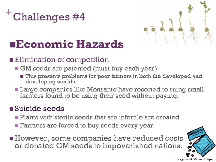 + Challenges #4 n. Economic Hazards n Elimination n GM seeds are patented (must