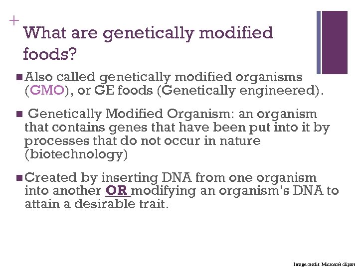 + What are genetically modified foods? n Also called genetically modified organisms (GMO), or