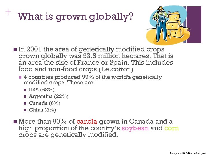 + What is grown globally? n In 2001 the area of genetically modified crops
