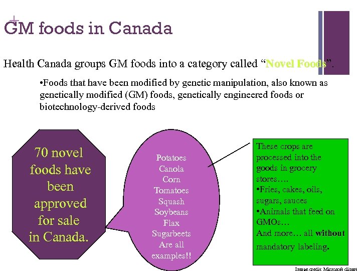 + foods in Canada GM Health Canada groups GM foods into a category called