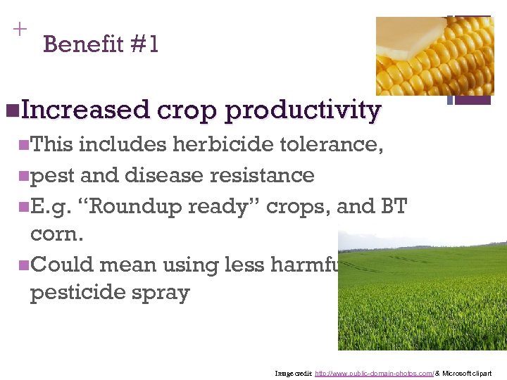 + Benefit #1 n. Increased crop productivity n. This includes herbicide tolerance, npest and