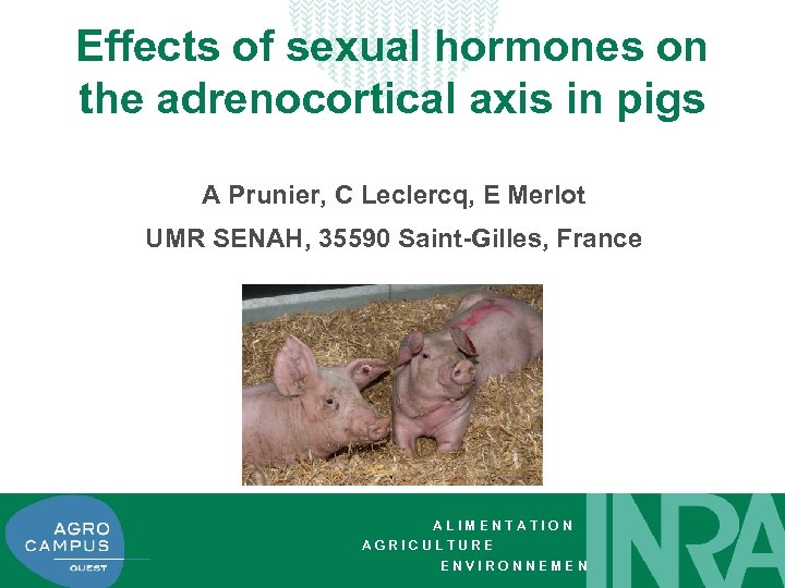 Effects of sexual hormones on the adrenocortical axis in pigs A Prunier, C Leclercq,