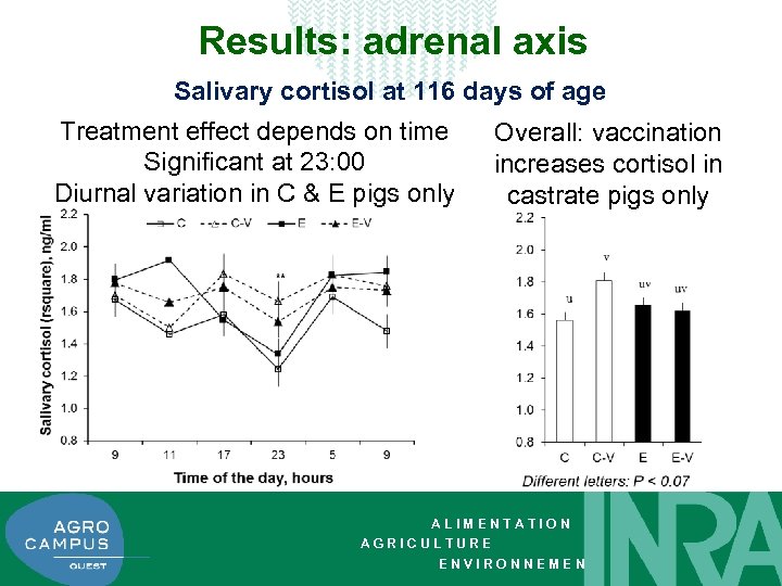 Results: adrenal axis Salivary cortisol at 116 days of age Treatment effect depends on