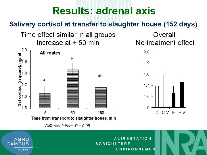 Results: adrenal axis Salivary cortisol at transfer to slaughter house (152 days) Time effect