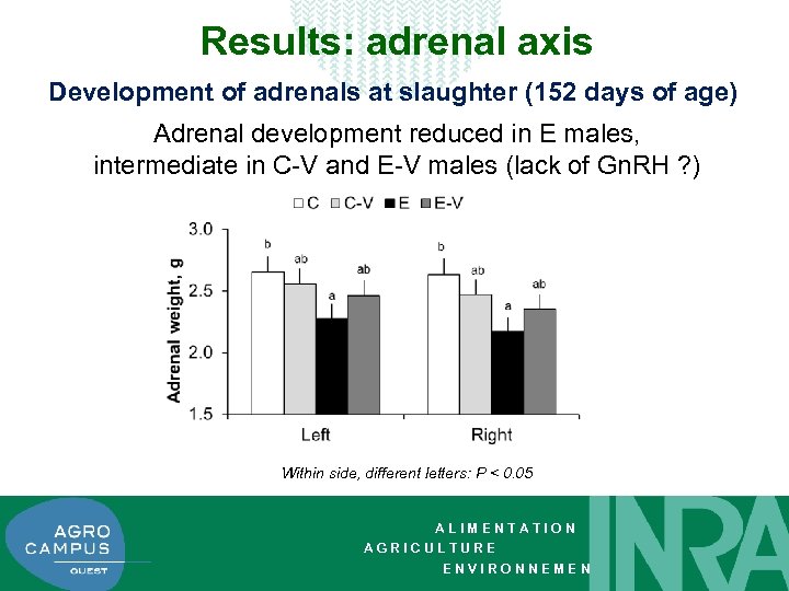 Results: adrenal axis Development of adrenals at slaughter (152 days of age) Adrenal development