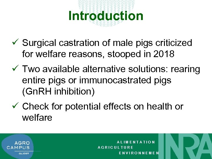 Introduction ü Surgical castration of male pigs criticized for welfare reasons, stooped in 2018