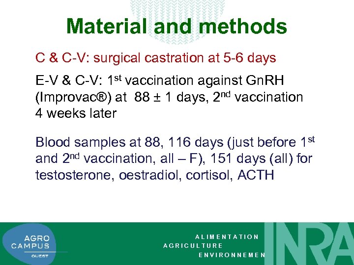 Material and methods C & C-V: surgical castration at 5 -6 days E-V &