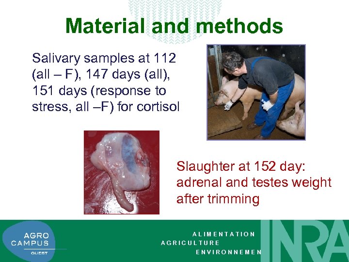 Material and methods Salivary samples at 112 (all – F), 147 days (all), 151