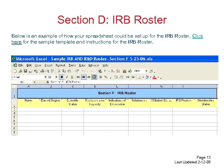 Section D: IRB Roster Below is an example of how your spreadsheet could be