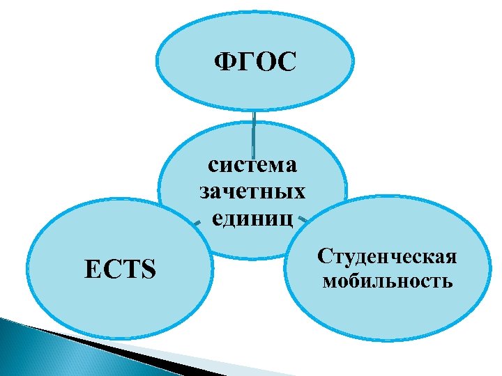 Система фгос. Зачетные единицы (ECTS).