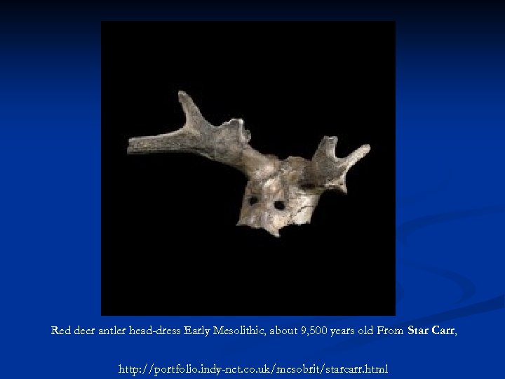 Red deer antler head-dress Early Mesolithic, about 9, 500 years old From Star Carr,