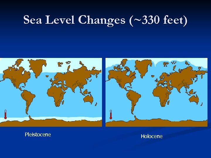 Sea Level Changes (~330 feet) Pleistocene Holocene 