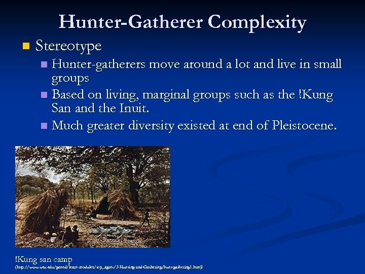Hunter-Gatherer Complexity n Stereotype Hunter-gatherers move around a lot and live in small groups