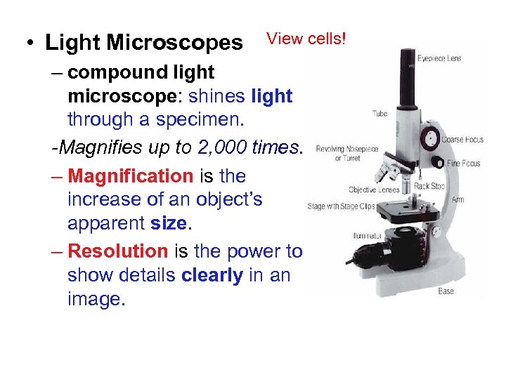 Chapter 1 • Light Microscopes View cells! – compound light microscope: shines light through