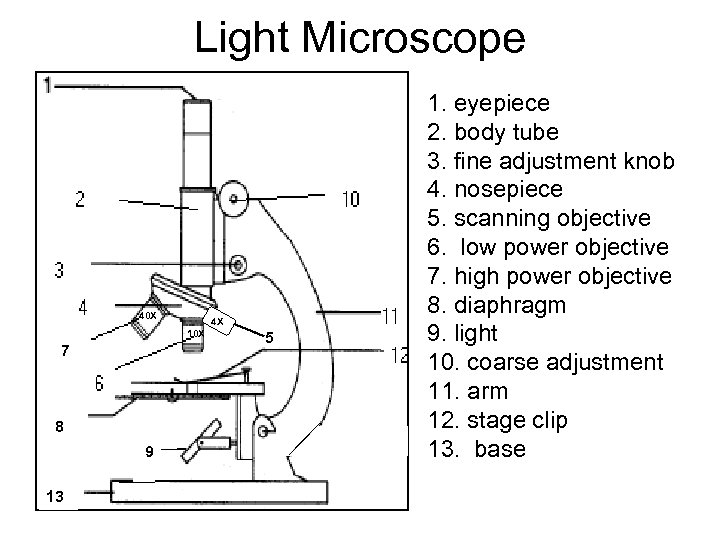 Light Microscope 10 X 4 X 10 X 7 8 8 9 13 5