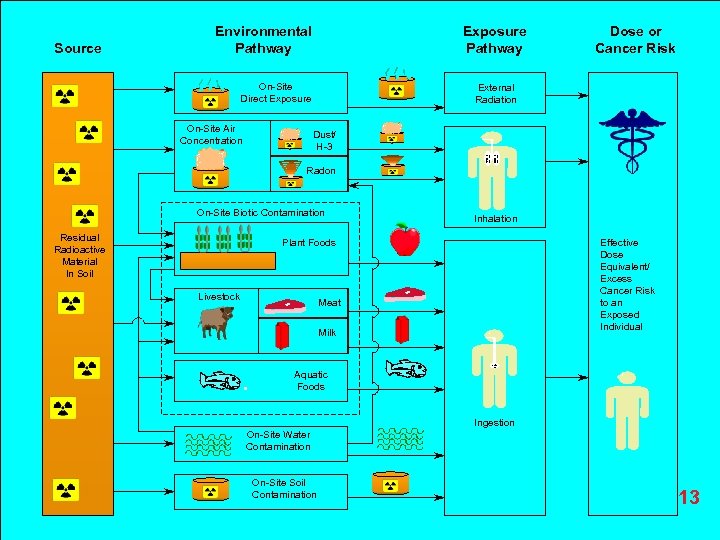 Source Environmental Pathway Exposure Pathway On Site Direct Exposure On Site Air Concentration Dose