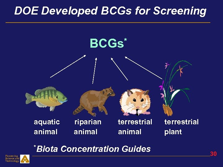 DOE Developed BCGs for Screening BCGs* aquatic riparian terrestrial animal plant *Biota Pioneering Science