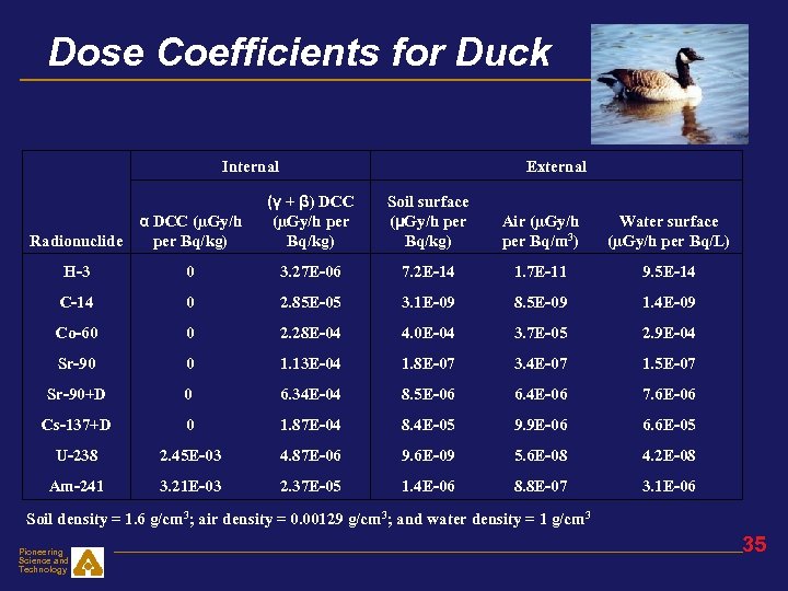 Dose Coefficients for Duck Internal α DCC (µGy/h Radionuclide per Bq/kg) External (γ +