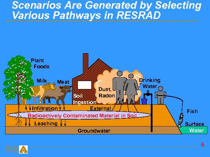 Scenarios Are Generated by Selecting Various Pathways in RESRAD Plant Foods Milk Meat Dust,