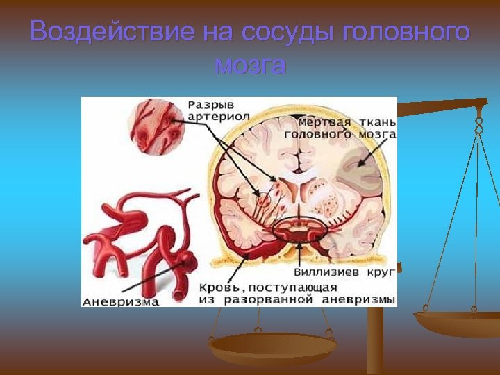 Воздействие на сосуды головного мозга 