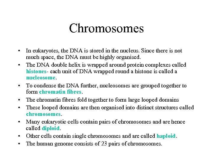 Chromosomes • In eukaryotes, the DNA is stored in the nucleus. Since there is