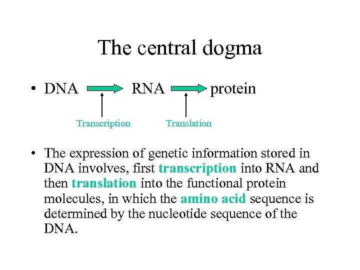 The central dogma • DNA Transcription RNA protein Translation • The expression of genetic