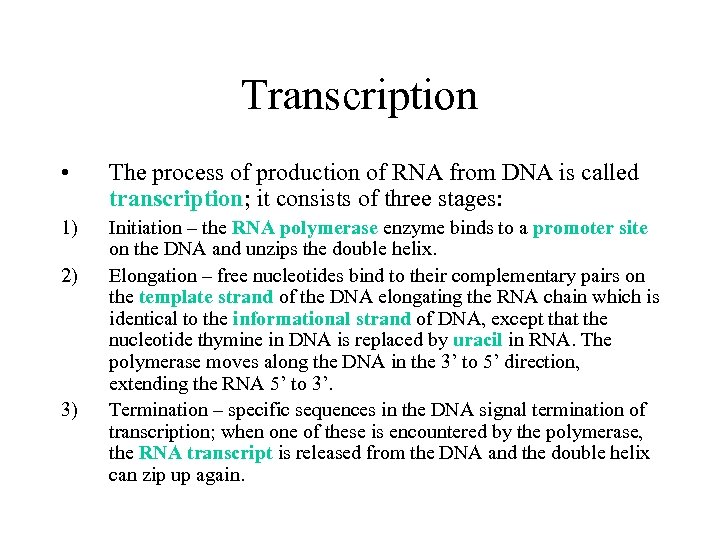 Transcription • The process of production of RNA from DNA is called transcription; it