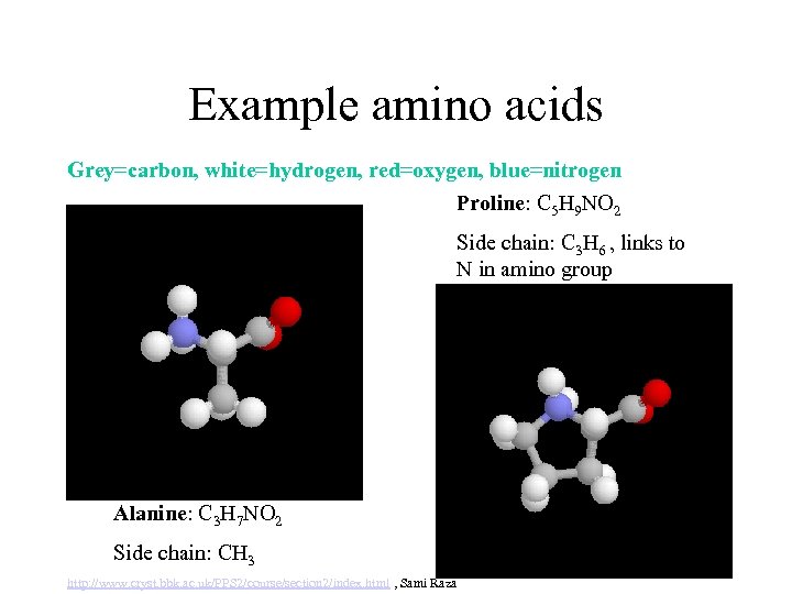 Example amino acids Grey=carbon, white=hydrogen, red=oxygen, blue=nitrogen Proline: C 5 H 9 NO 2