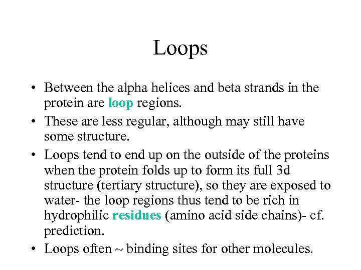 Loops • Between the alpha helices and beta strands in the protein are loop