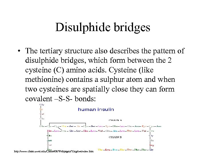 Disulphide bridges • The tertiary structure also describes the pattern of disulphide bridges, which