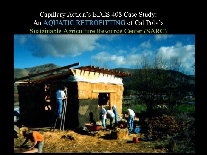 Capillary Action’s EDES 408 Case Study: An AQUATIC RETROFITTING of Cal Poly’s Sustainable Agriculture