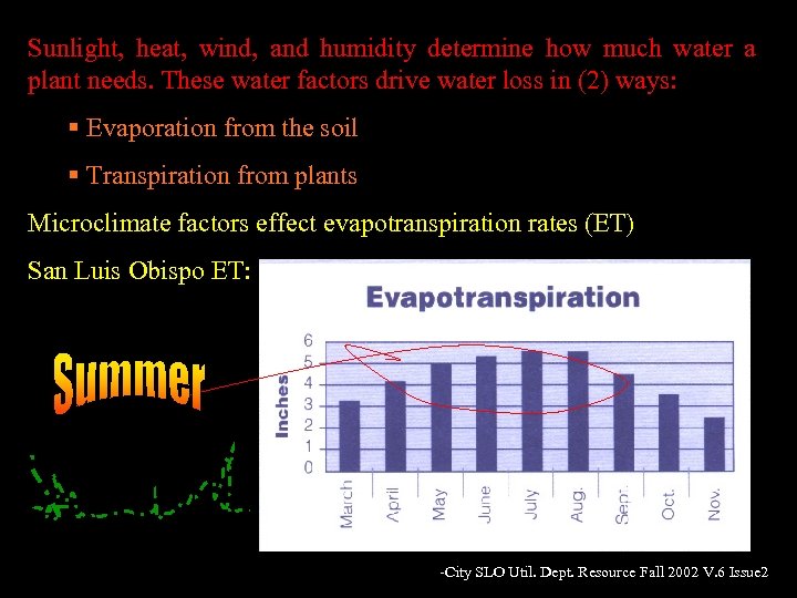 Sunlight, heat, wind, and humidity determine how much water a plant needs. These water