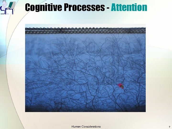 Cognitive Processes - Attention Human Considerations 7 