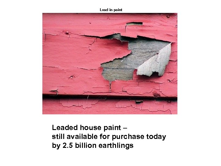 Lead in paint Leaded house paint – still available for purchase today by 2.