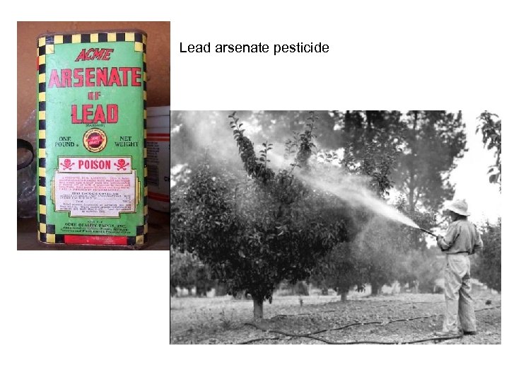 Lead arsenate pesticide 