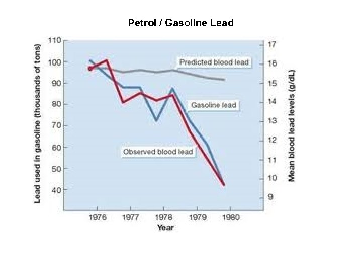 Petrol / Gasoline Lead 