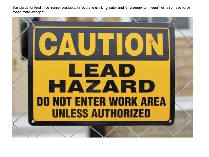 Standards for lead in consumer products, in food and drinking water and ‘environmental media’,