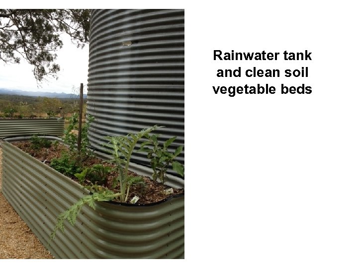 Rainwater tank and clean soil vegetable beds 