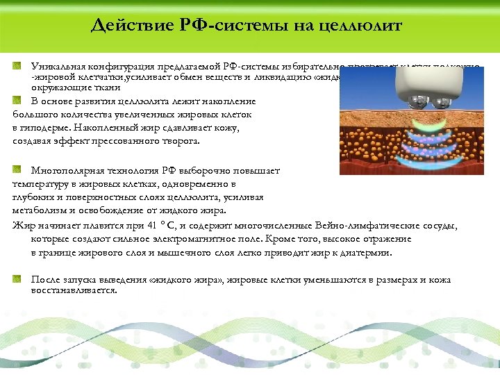 Действие РФ-системы на целлюлит Уникальная конфигурация предлагаемой РФ-системы избирательно прогревает клетки подкожно -жировой клетчатки,