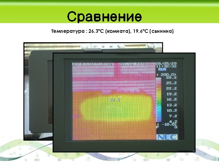 Сравнение Температура : 26. 3ºC (комната), 19. 6ºC (свинина) 