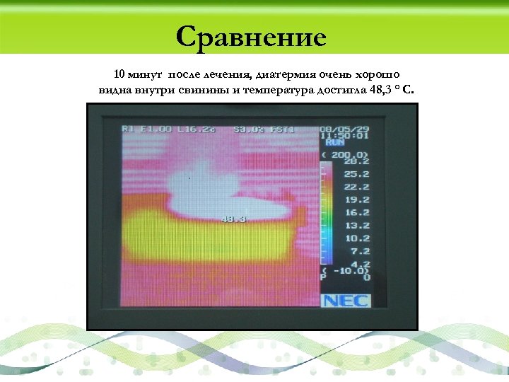 Сравнение 10 минут после лечения, диатермия очень хорошо видна внутри свинины и температура достигла