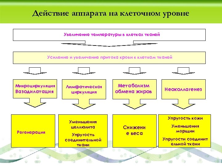 Действие аппарата на клеточном уровне Увеличение температуры в клетках тканей Усиление и увеличение притока