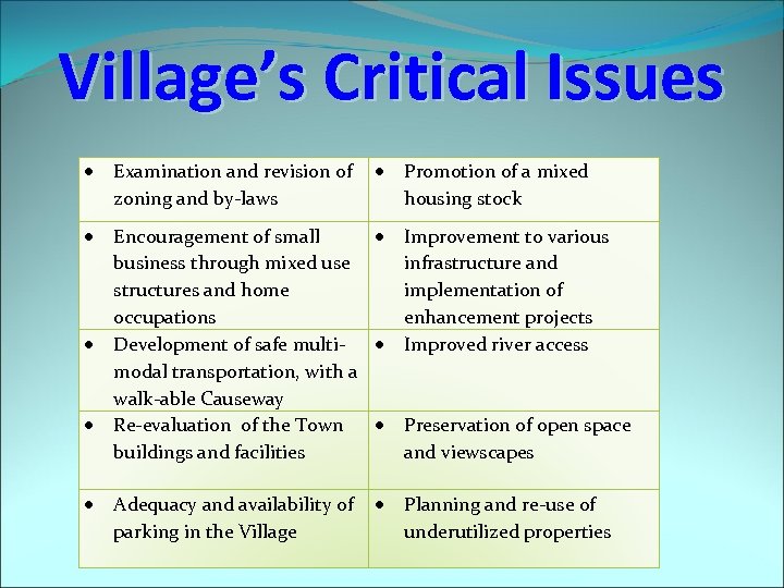 Village’s Critical Issues Examination and revision of zoning and by-laws Encouragement of small business