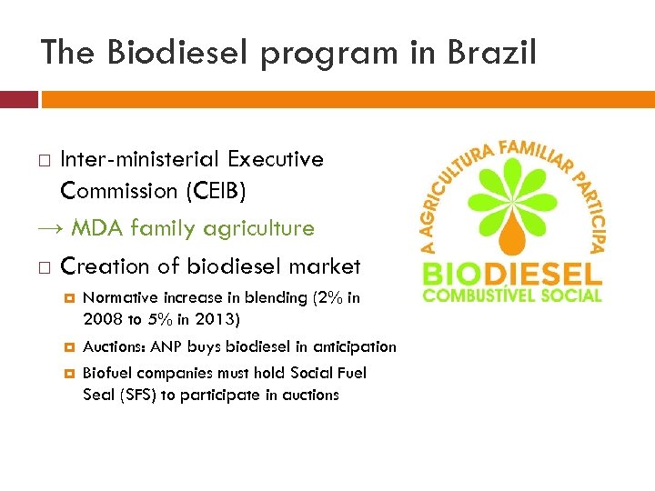 The Biodiesel program in Brazil Inter-ministerial Executive Commission (CEIB) → MDA family agriculture Creation